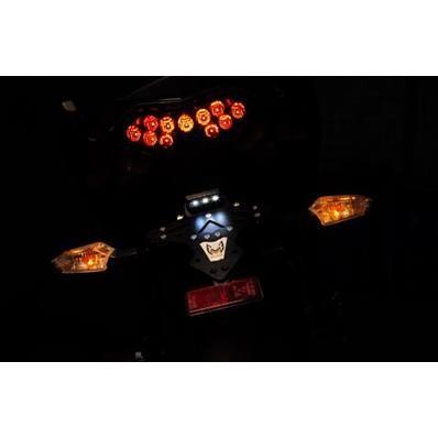 M.A.D. マッド フェンダーレスキット NINJA250SL Z250SL KAWASAKI