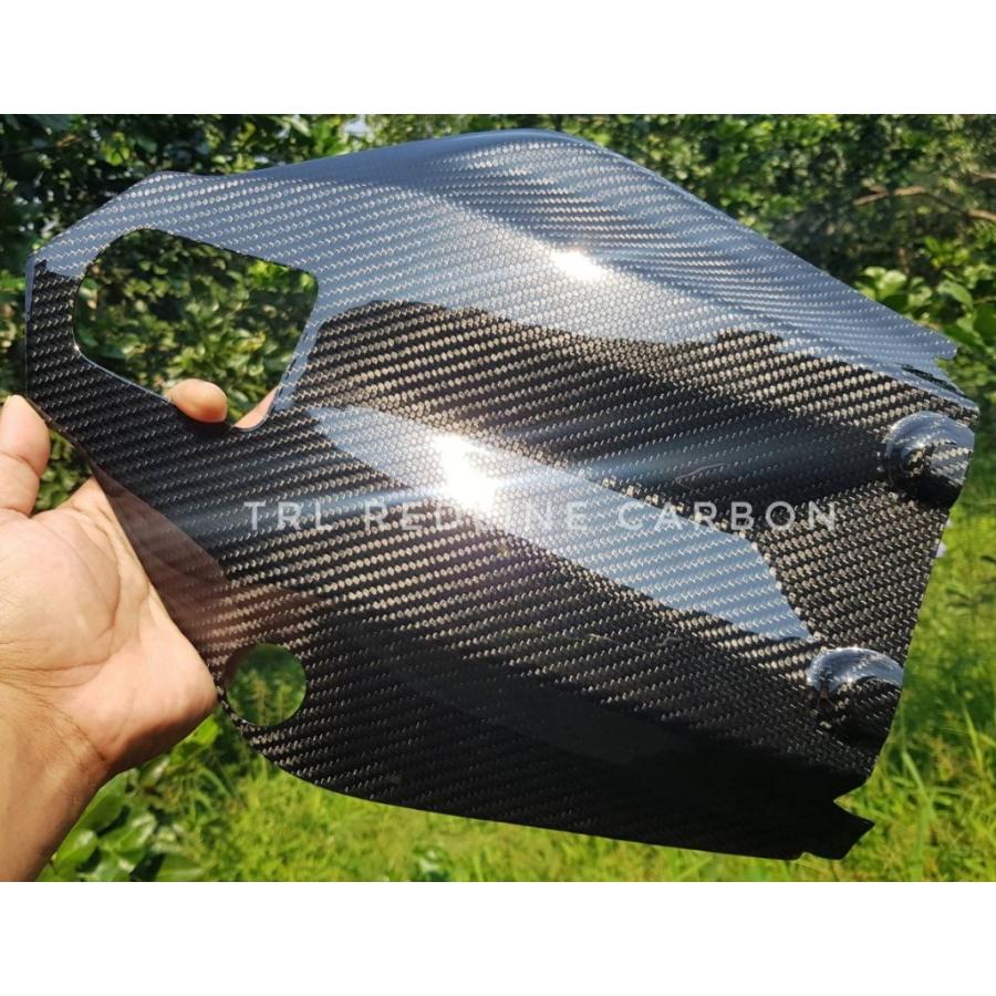 TRL Redline Carbon TRLレッドラインカーボン Under tail Z1000