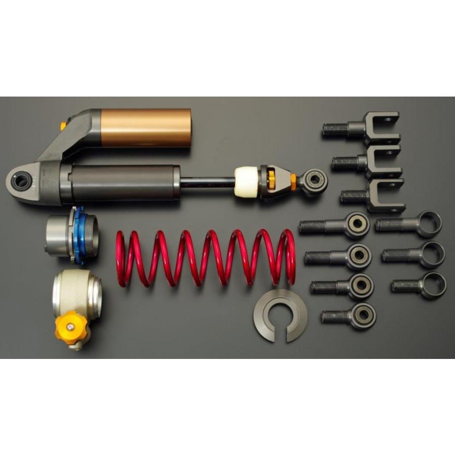 ADVANTAGE アドバンテージ RS／RS-r用リアショック削り出しイニシャル