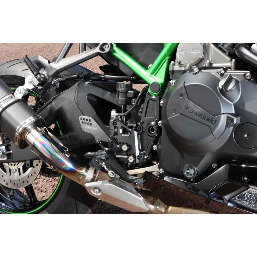 STRIKER ストライカー スポーツツーリングコンセプト(STC)ステップ