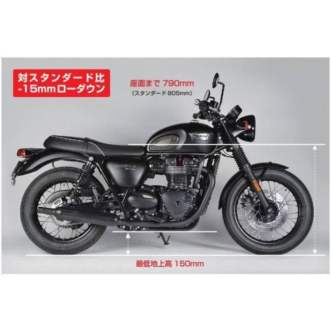 NITRON ナイトロン リアサスペンションツインショック STEALTH TWIN R1シリーズ ローダウン Bonneville T100 TRIUMPH トライアンフ リアサスペンション 足回り_1