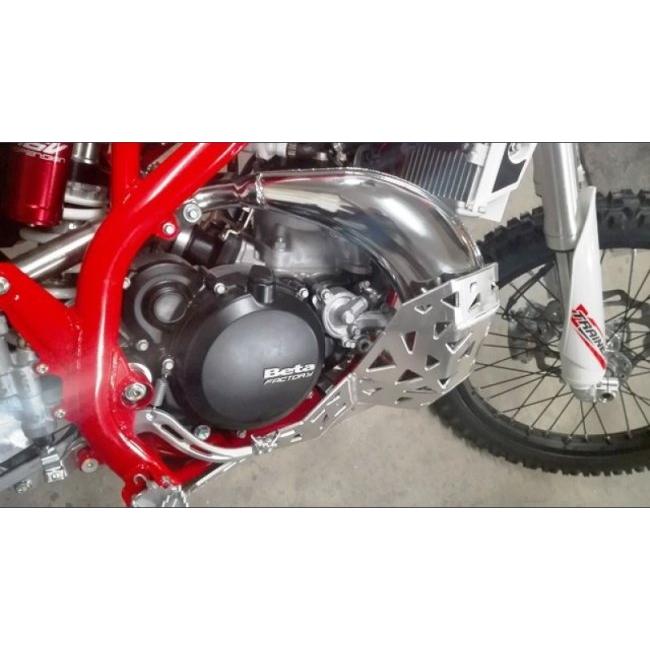 P-TECH ピーテック スキッド+チャンバー+リンクガード Xtrainer BETA ベータ アンダーガード・スキッドプレート フレーム | ブランド登録なし | 06