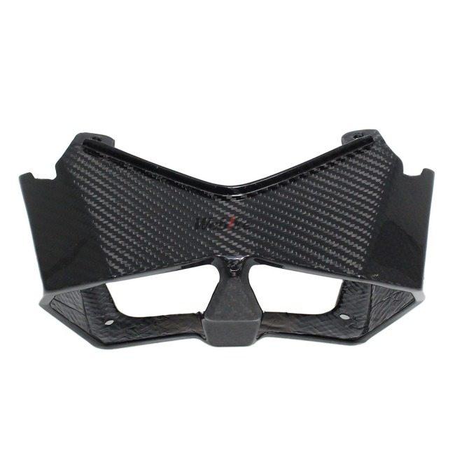 SPEEDRA スピードラ テールライトカバー ドライカーボン タイプ