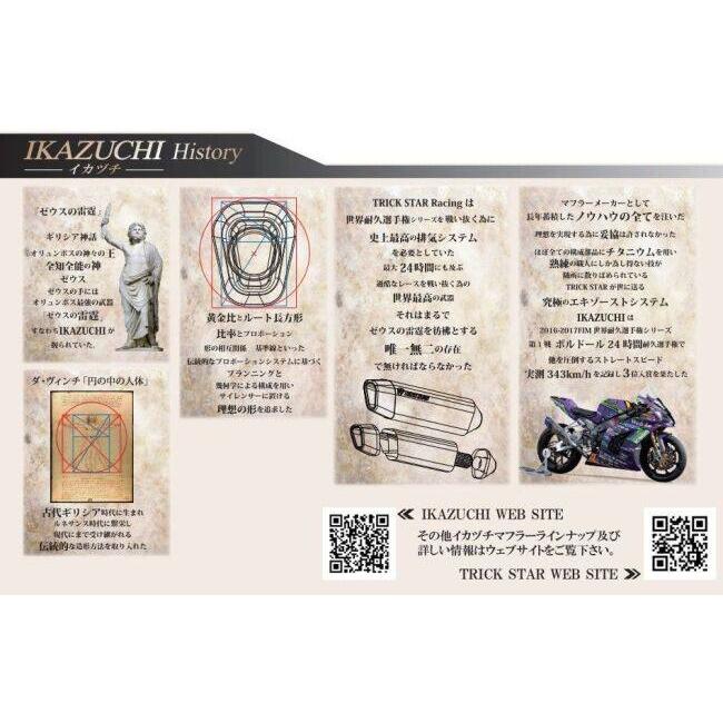 TRICKSTAR トリックスター 政府認証 デュアルスリップオンマフラーIKAZUCHI(イカヅチ) タイプ：IKAZUCHI焼きチタン Ninja ZX-14R KAWASAKI カワサキ マフラー | TRICK STAR | 08