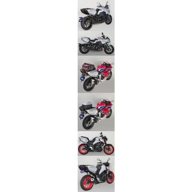 ANGEL BLACK 専用ケース付き MOTOFIZZ TANAX motofizz タナックス モトフィズ カービングシェル