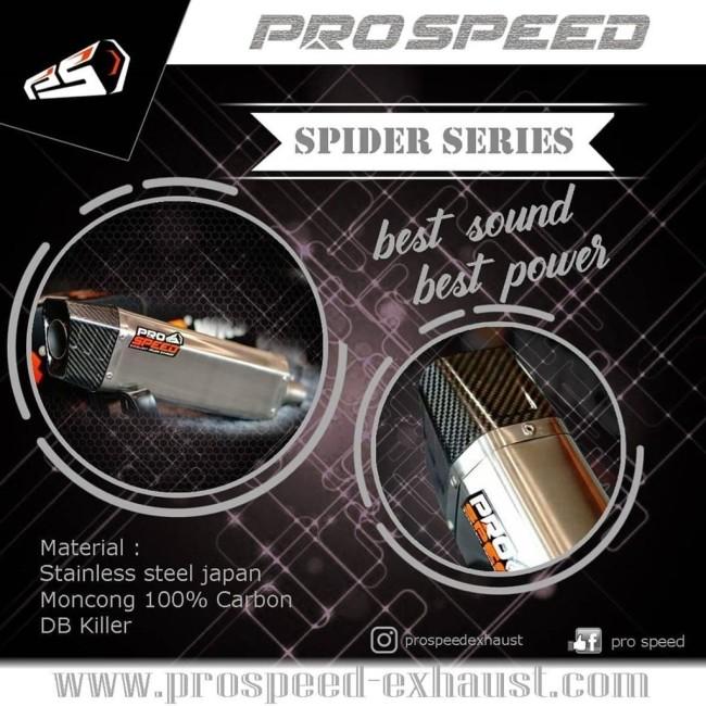 PROSPEED プロスピード Full System Exhaust Classic Series Type C
