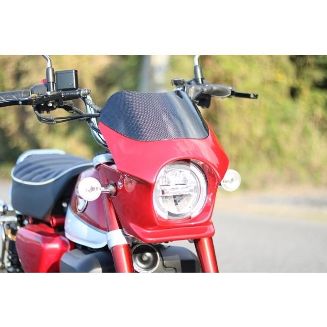 限定価格！ビキニカウル　トリコロールカラー　高級クリヤー仕上げ　車種設計可能 CAT'S FACTORY キャッツファクトリー ビキニカウル カラー：パール