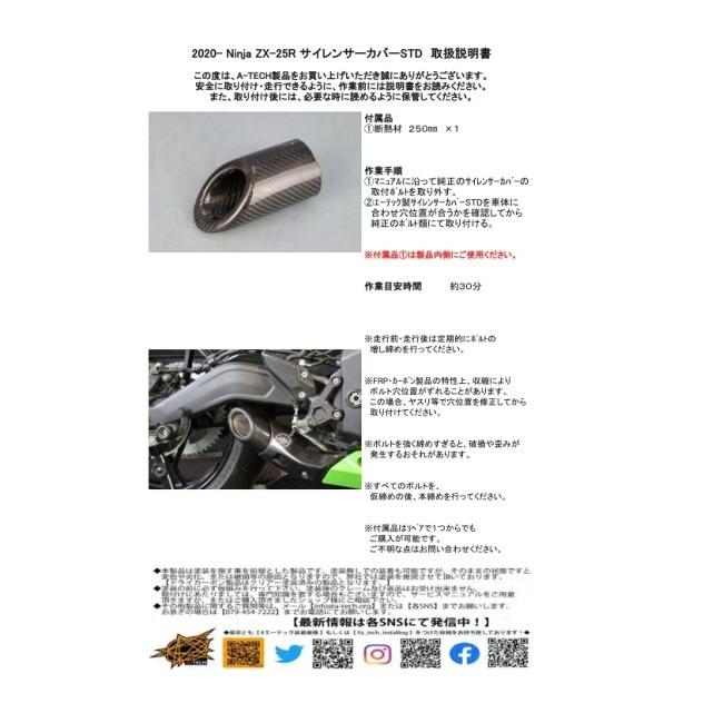 なな 2008_Kawasaki_Ninja_ZX-14.jpg