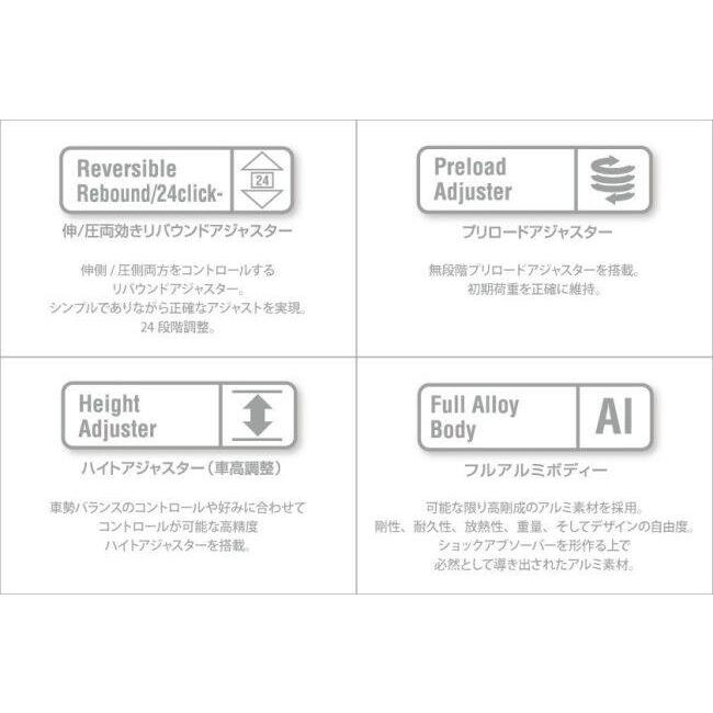 NITRON（ナイトロン） リアサスペンションモノショック NTR R1
