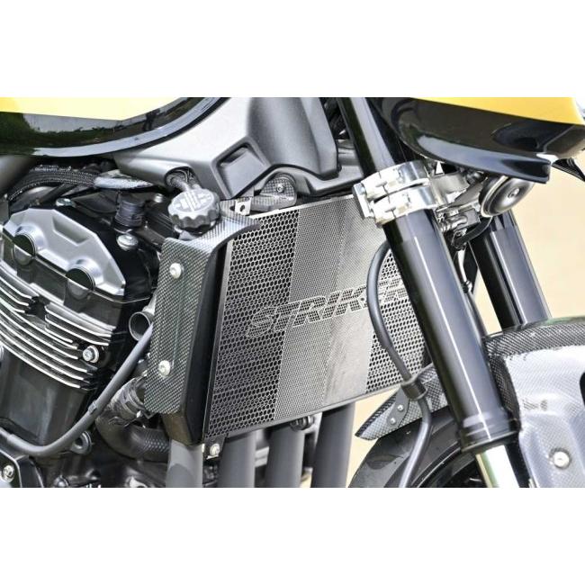 STRIKER（ストライカー） ラジエターコアガード Ninja1100SX SE