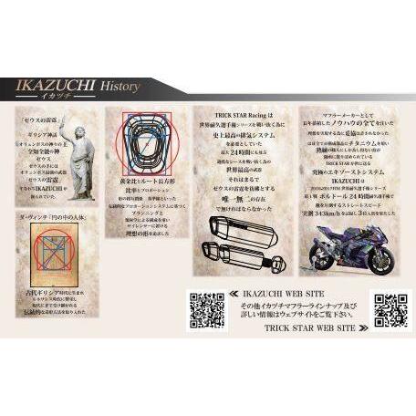TRICK STAR（トリックスター） IKAZUCHIサイレンサー用インナー