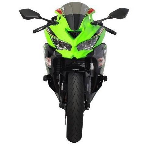 ZEROGRAVITYシールド ZX25R ZX4R ZERO GRAVITY（ゼログラビティ） スクリーン【SRタイプ】 カラー
