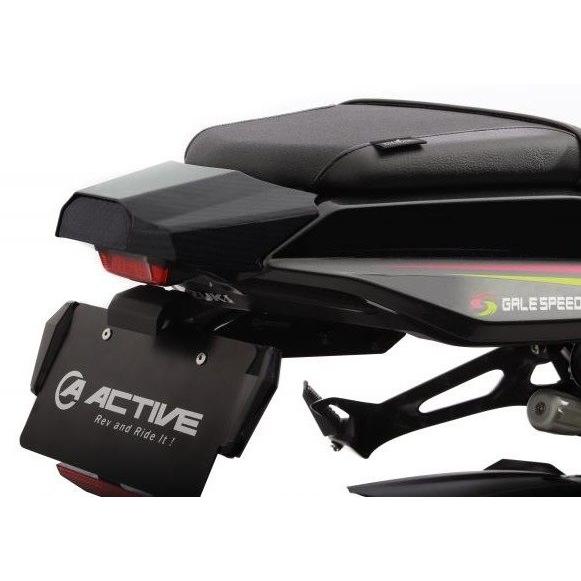 NEXRAY CARBON DRY ネクスレイカーボンドライ ロングテールカウル