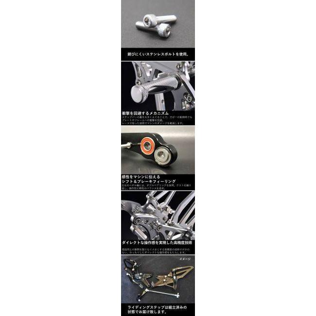 WOODSTOCK ウッドストック バックステップキット ステップバータイプ：ハイグリップステップバー / ペダルタイプ：STDペダル カラー：オールブラック ステップ | woodstock | 09