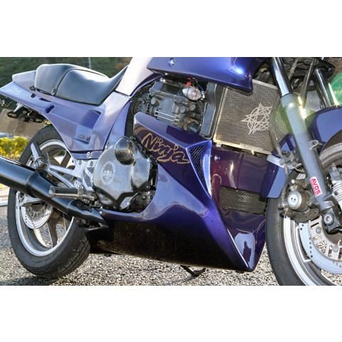 A-TECH（エーテック） EG-GUARD エンジンガードセット タイプ：ドライ