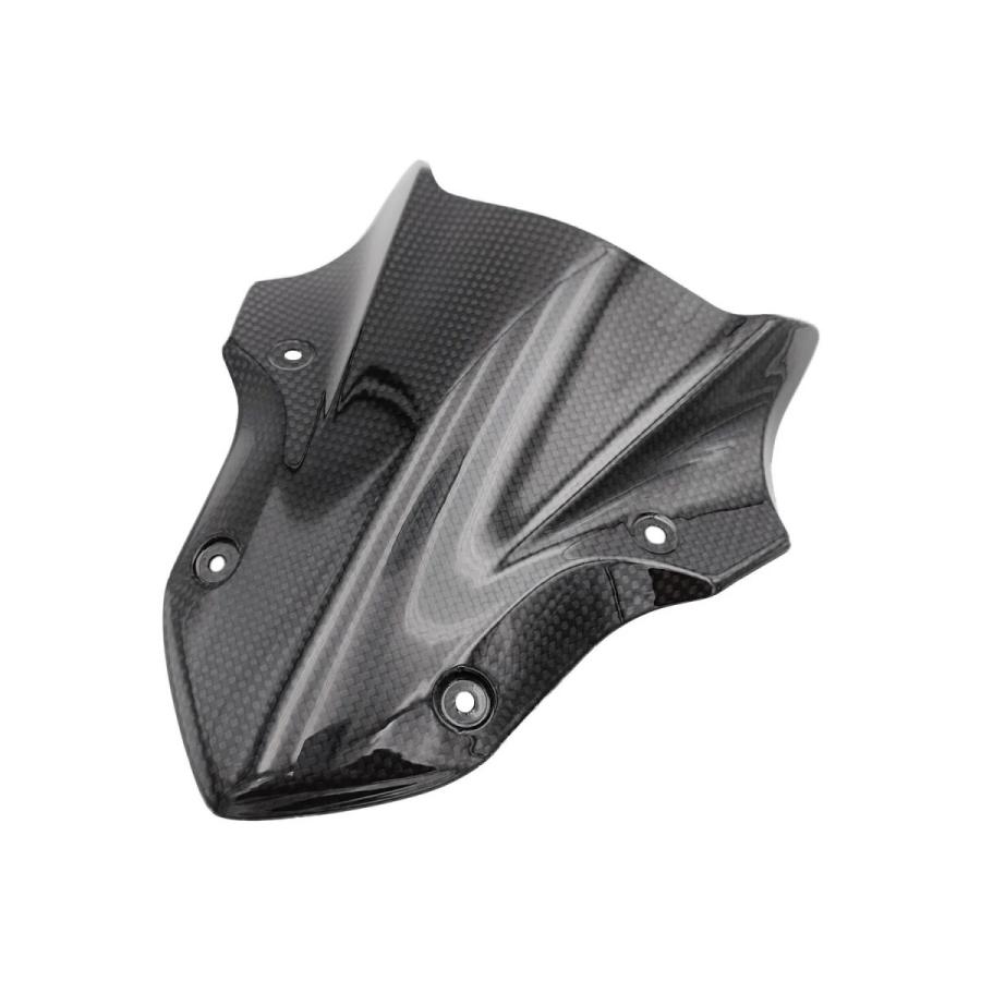 LighTech ライテック ドライカーボン タコメーターサポートカバー Z900 KAWASAKI カワサキ メーターバイザー カウル関連 外装 | LighTech