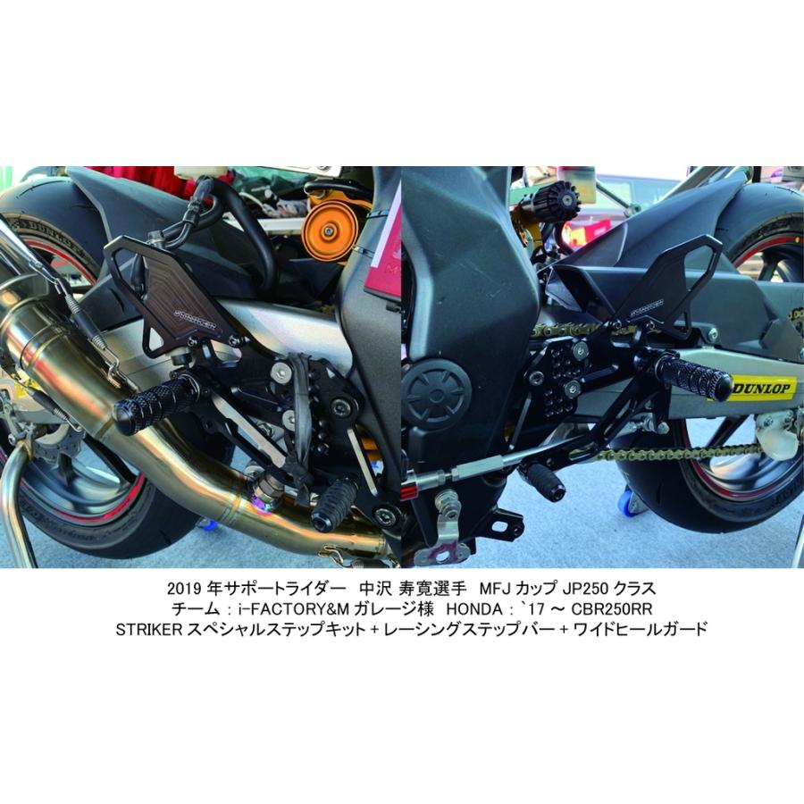 STRIKER（ストライカー） スペシャルステップキットType S&R タイプ2