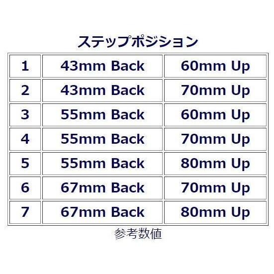 BABYFACE ベビーフェイス レースコンセプトステップキット カラー：ブラック ZX-25R ZX-4R KAWASAKI カワサキ バックステップ ステップ 足回り | babyface | 02