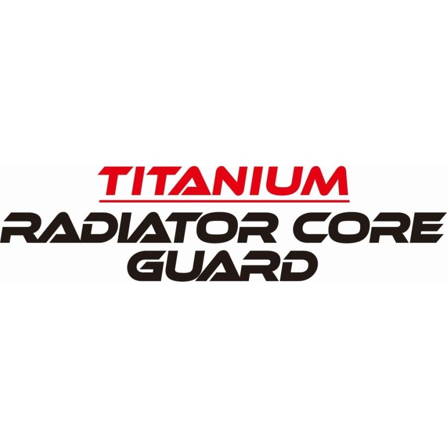 Titanium Power チタニウムパワー チタン ラジエターコアガード タイプ：ソリッド・チタン MT-09 Tracer XSR900 YAMAHA ヤマハ 冷却関連 エンジン