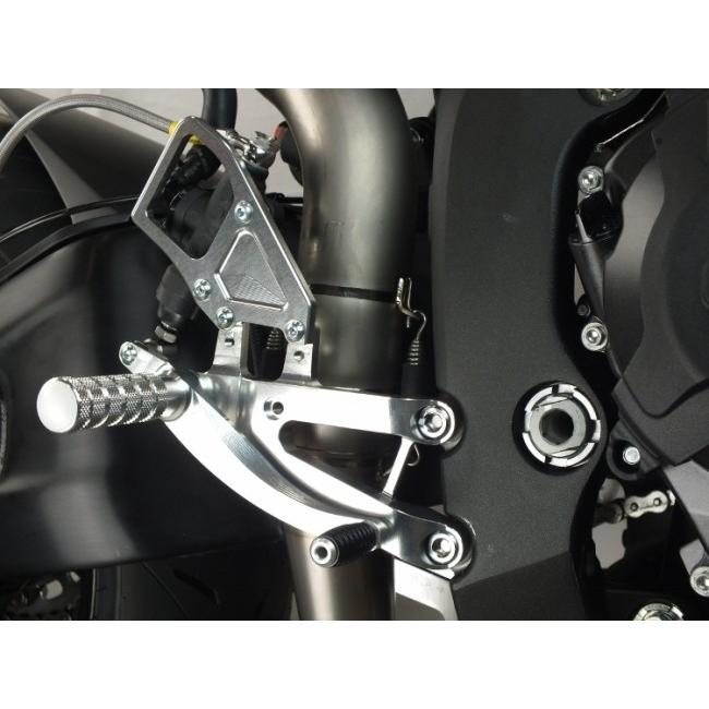TSR テクニカルスポーツレーシング 2ポジションステップキット