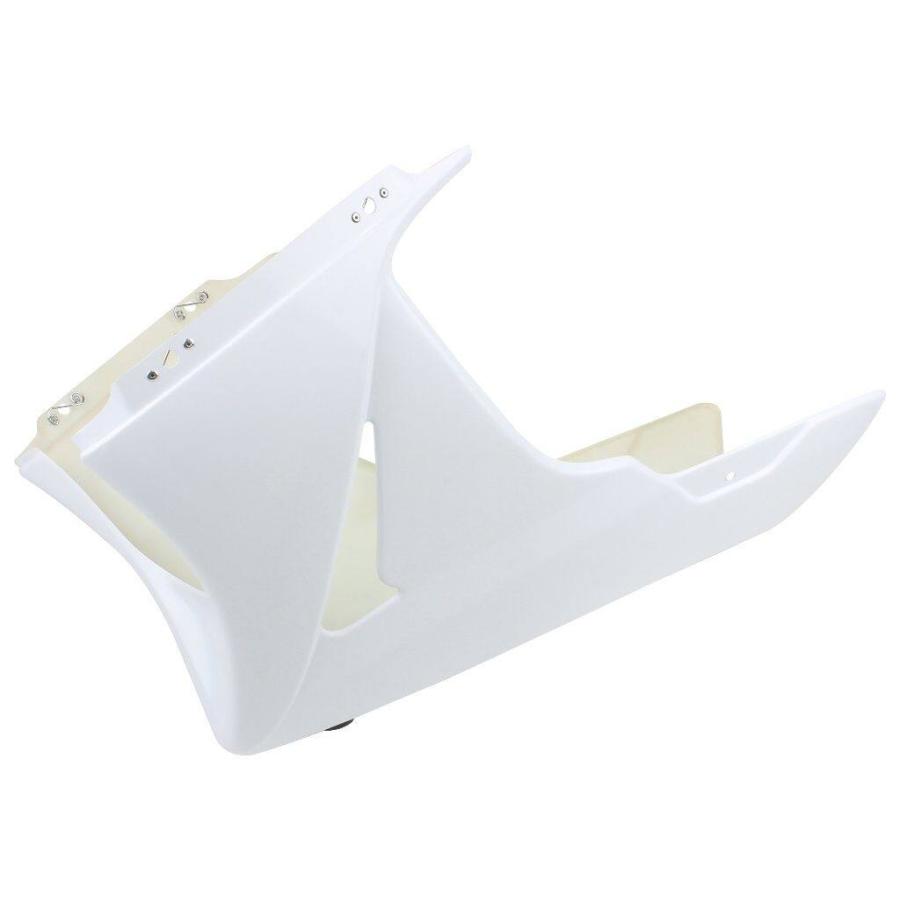 シフトアップ SHIFT UP RCVライン アンダーハーフカウル NSF100 HONDA