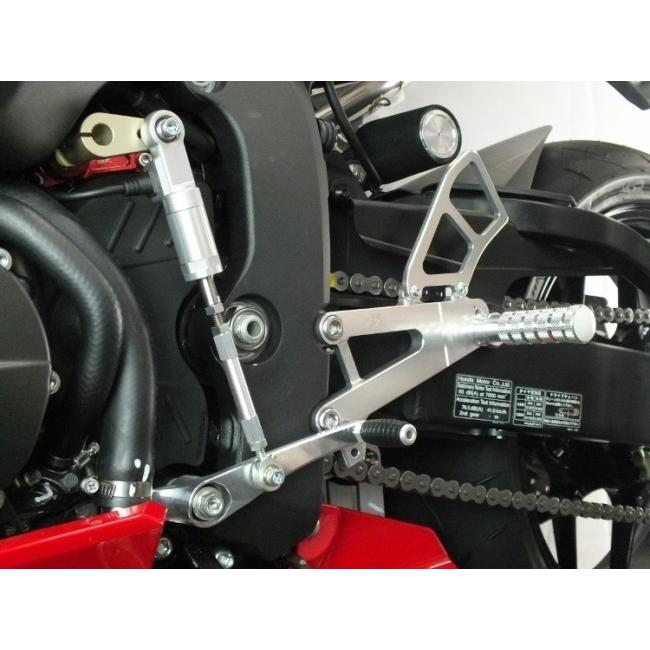 TSR テクニカルスポーツレーシング 2ポジションステップ ストリート 