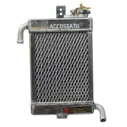 グランドアクシス　水冷キット ATop エートップ 水冷化 ラジエーターキット BW'S100 DIO JOG50 JOG90