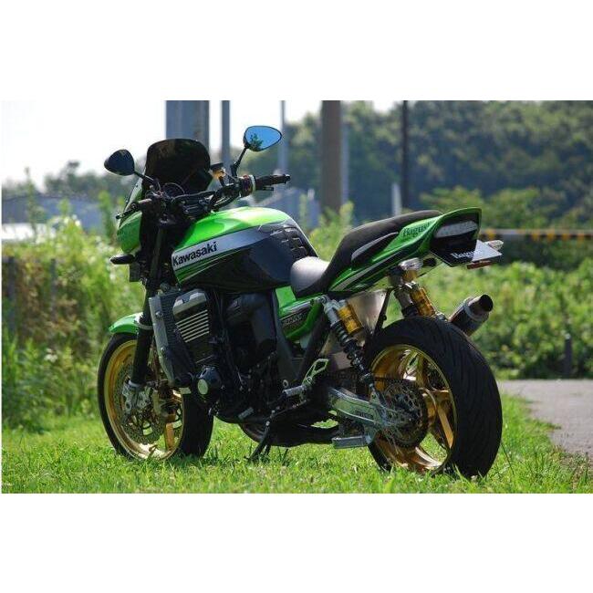 Bagus!（バグース） 一体式フェンダーレスキット ZRX1200ダエグ