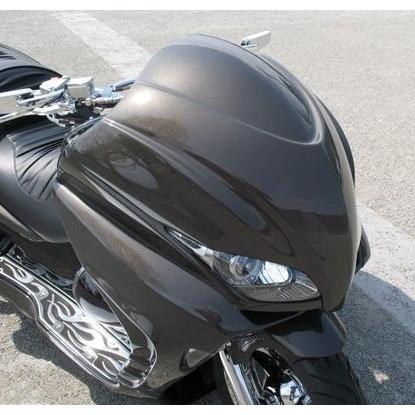 VIVIDPOWER ビビッドパワー フロントフェイス FORZA フォルツァX VIVIDPOWER ビビッドパワー フロントフェイス FORZA フォルツァX