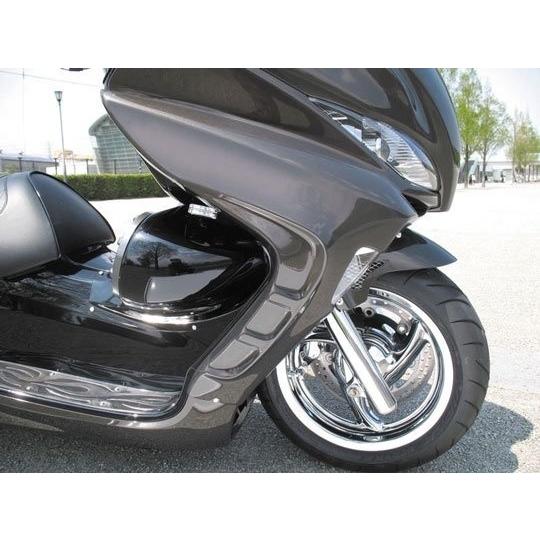 フォルツァz VIVIDPOWER ビビッドパワー サイドカウル FORZA フォルツァX