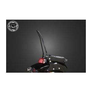 Garage T＆F ガレージ 純正フェンダー専用シーシーバーショート カラー