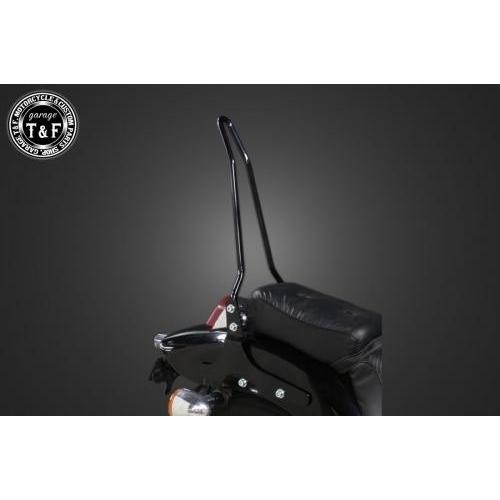Garage T\u0026F ガレージ 純正フェンダー専用シーシーバーショート カラー：ブラック仕上げ スティード400VCL スティード400VLX スティード600 HONDA ホンダの画像