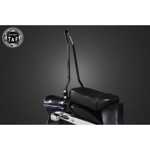 Garage T\u0026F ガレージ 純正フェンダー専用シーシーバーショート カラー：ブラック仕上げ スティード400VLS スティード400VSE HONDA ホンダ 外装の画像