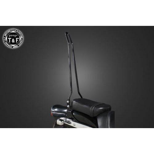 Garage T＆F ガレージ 純正フェンダー専用シーシーバーロング カラー