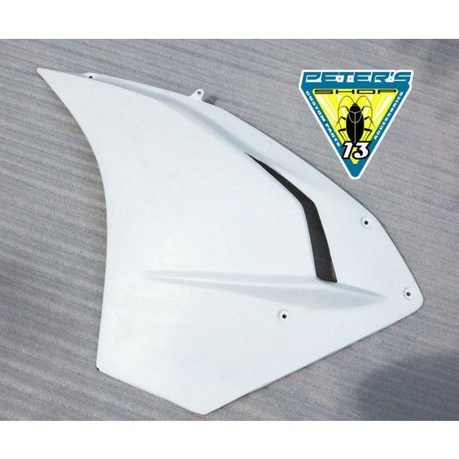 Petex ペテックス Side fairing fiberglass for track day タイプ