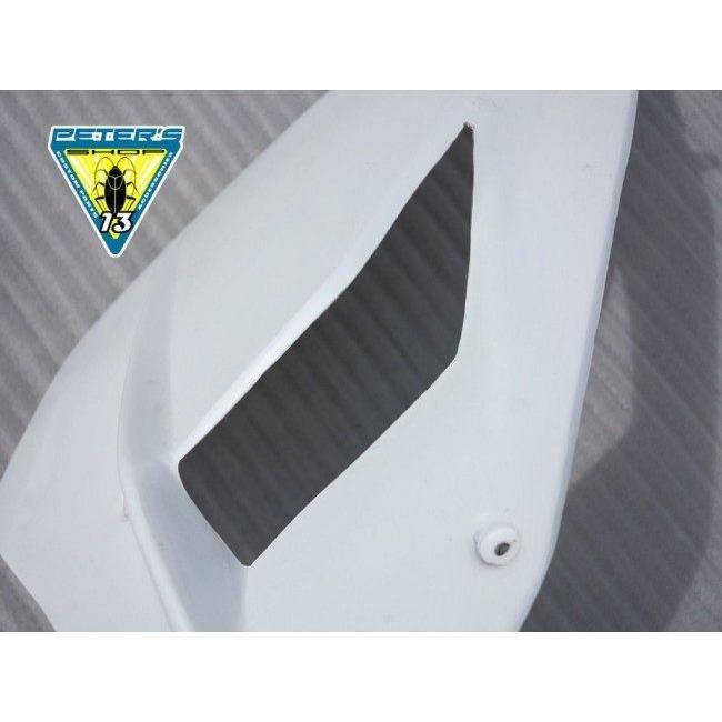 Petex ペテックス Side fairing fiberglass for track day タイプ