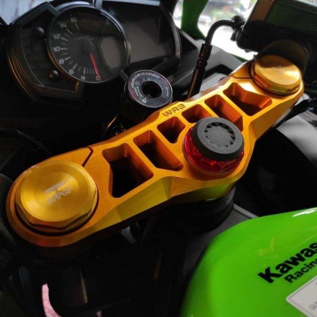 WR3 ダブルアールスリー トップブリッジ カラー：ブラック ZX-25R 