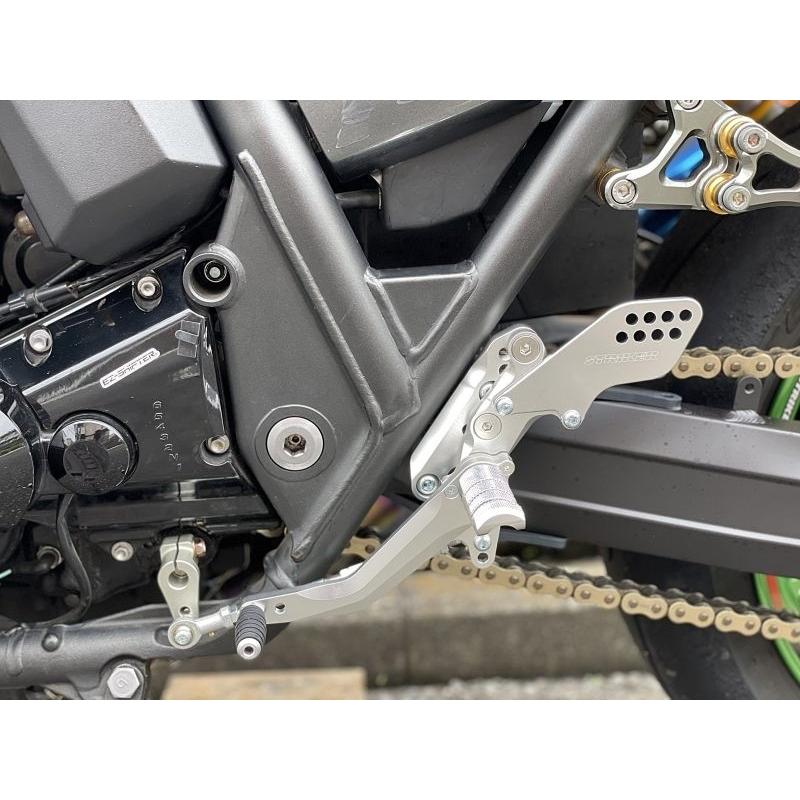 STRIKER（ストライカー） スポーツツーリングコンセプト(STC)ステップ