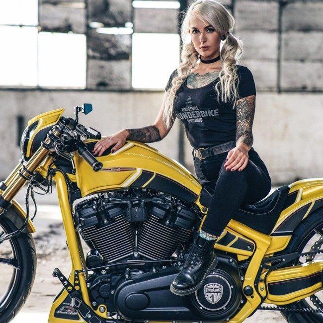 THUNDER BIKE サンダーバイク New Custom ダービーカバー ソフテイル