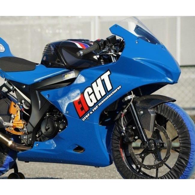 EIGHT(才谷屋) エイト(サイタニヤ) フルカウル タイプ：バフ掛け済み