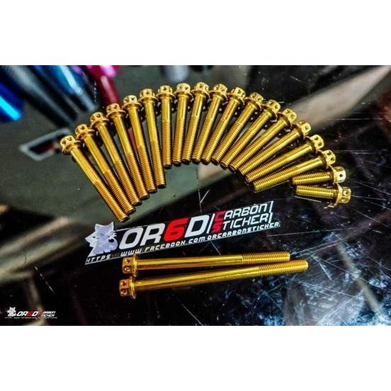 OR6D Carbon sticker OR6D Carbon sticker:オーランカーボンステッカー Gold bolt set YZF-R15