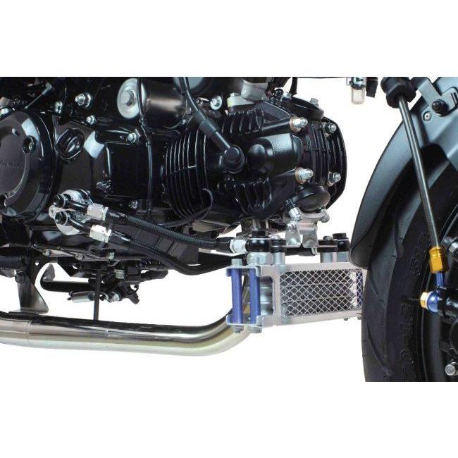 SP武川 SPタケガワ コンパクトクールキット オイルホースタイプ：ブレードホース#4 / オイルクーラータイプ：3フィン4オイルライン GROM MSX モンキー125 | スペシャルパーツ武川 | 01