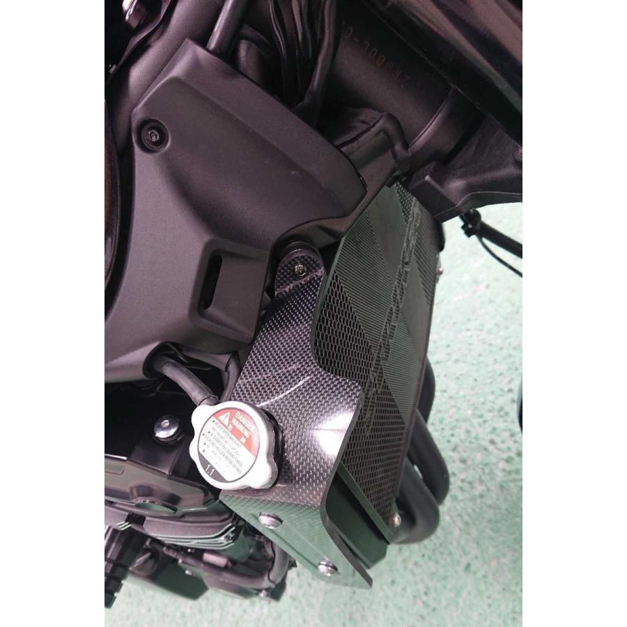 STRIKER（ストライカー） エアロデザイン“SAD”ラジエターサイド