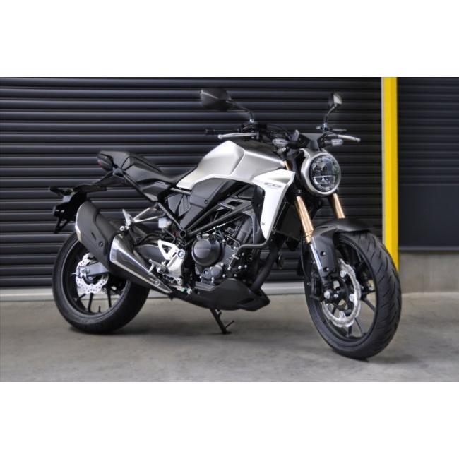 CB250R MORIWAKI(モリワキ)　ラジエーターガード ブラック MORIWAKI モリワキ ラジエターコアガード ブラック CB250R '18