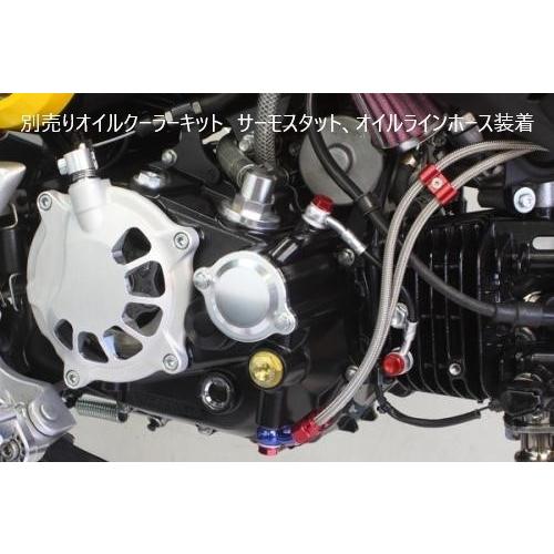 スペシャルパーツ武川 SP武川 SPタケガワ 乾式クラッチ TYPE-R＆TAF5速