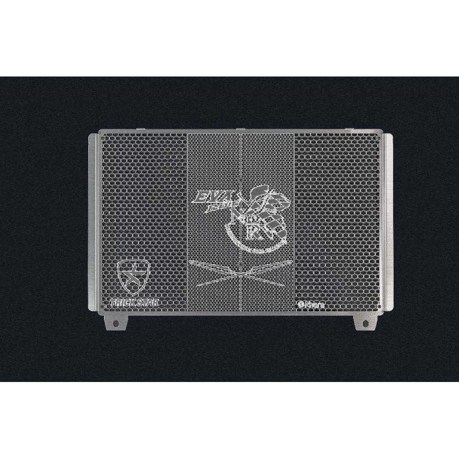TRICK STAR（トリックスター） ラジエーターコアガード EVA Racing