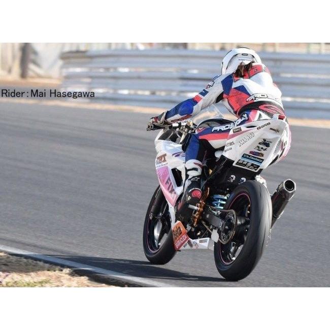 SUS441 エスユーエス441 【Kicks】sweet スプリング Ninja250SL SUS441 エスユーエス441 【Kicks】sweet スプリング Ninja250SL