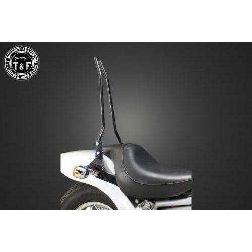 Garage T＆F ガレージ 純正フェンダー専用シーシーバー カラー