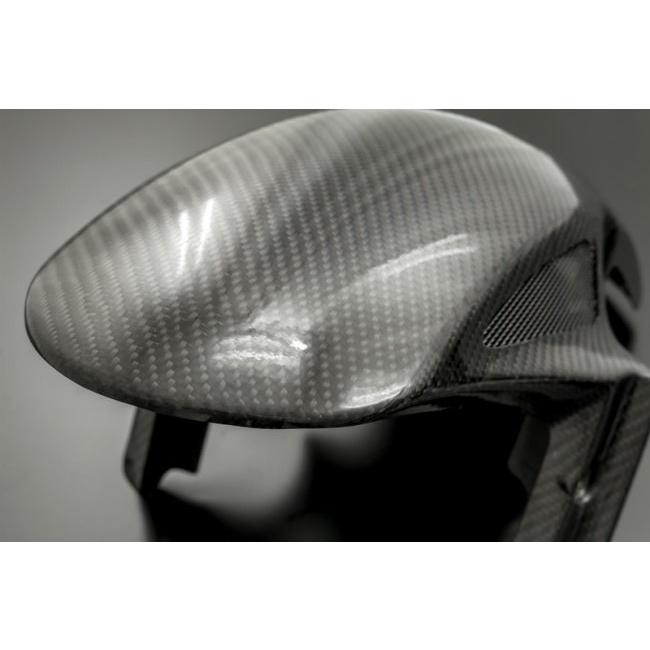 ARCHI（アーキ） フロントフェンダー タイプ：穴無し Z900RS CAFE SE