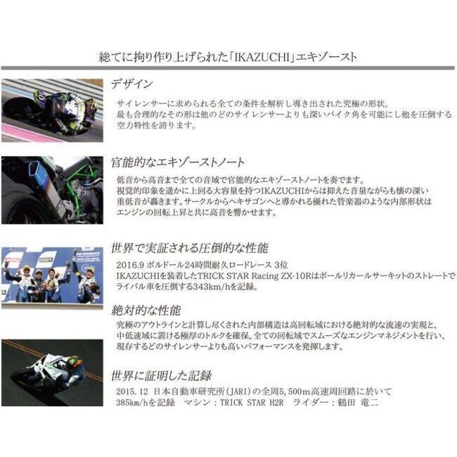 TRICK STAR（トリックスター） スリップオンマフラー IKAZUCHI